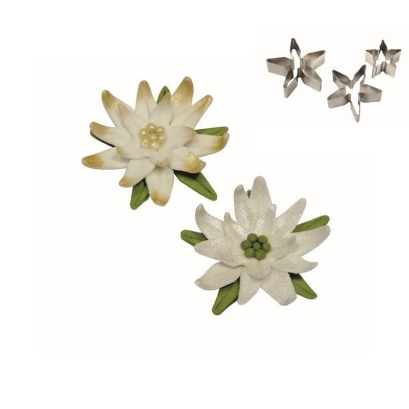 Emporte-pièce inox poinsettia PME (x3) 