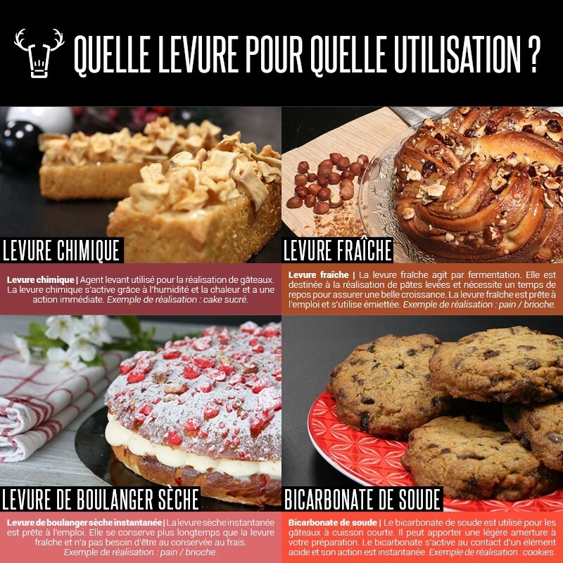 Levure sèche de boulangerie (500 g)