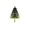 Sapin vert 2 tons sur pique (x100)