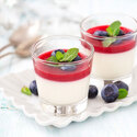 Panna Cotta sans cuisson Ancel 1,2 kg