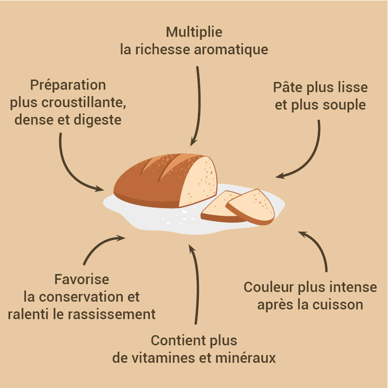 Levain de blé dur Patisdécor 150 g