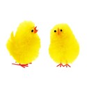 Gros poussin chenille jaune (x15)